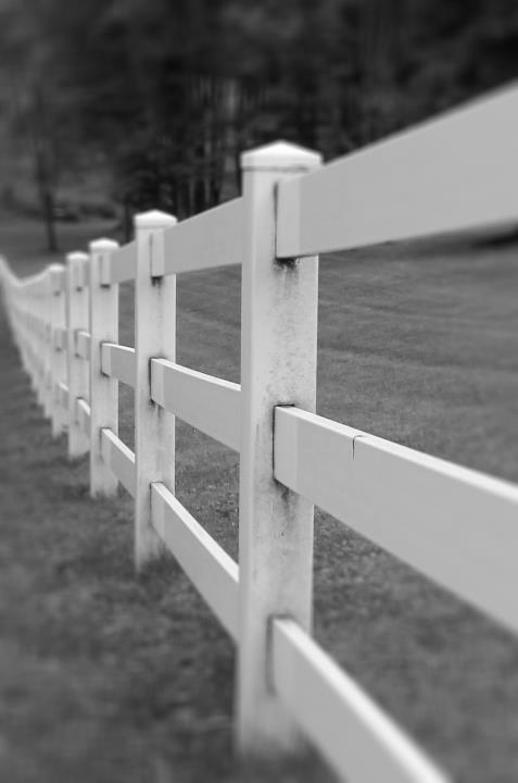 Fencing Forever Day 7