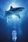 PRESSURE? YES, THERE IS PRESSURE ON MY SALES JOB. MY SALES MANAGER WORRIES ME LIKE A GREAT WHITE THAT IS WAITING TO EAT.