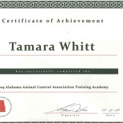 tdwhitt profile image
