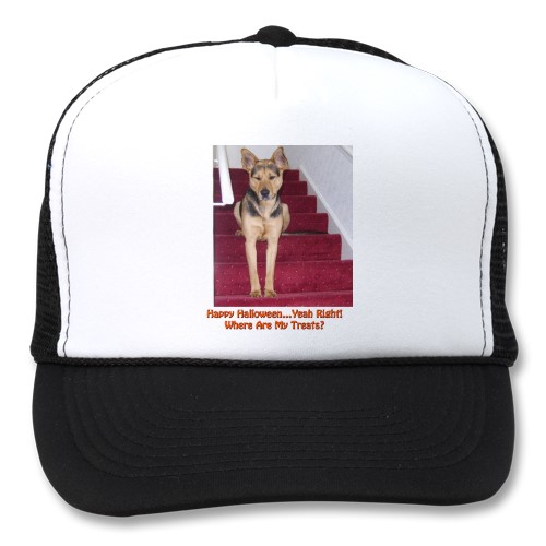 Gordon Hamilton on HubPages has a very intelligent dog name Robbie. The caption on the hat is "Happy HalloweenYeah Right! Where are My Treats?" Gordon writes about Robbie in his hub, "It's A Dog's Life: Even the Most Intelligent Dogs Know Some Canine