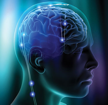  The Inner Universe of The Mind