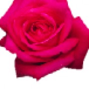 seyoni profile image