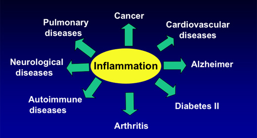 Inflammation Chart