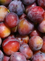 Pluots: combination between plums and apricots