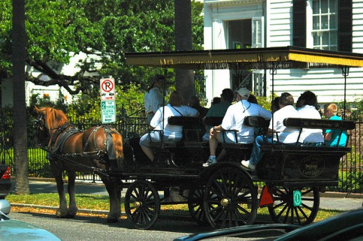 The Horse Carriage Ride through downtown Charleston is one of the best things to do in Charleston South Carolina.
