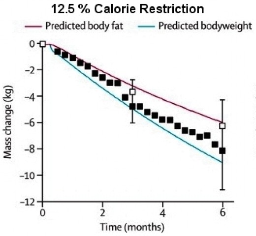 At Last - Cause of Global Obesity Identified - We ...