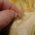 Be sure to remove the thistles from the center of the artichoke, as these should not be eaten. Be sure to remove the thistles from the center of the artichoke, as these should not be eaten.