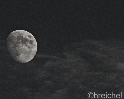 Day 8 was almost a full moon evening