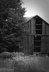 Day 9 extra- driving around to see what I could see was the original intention of the day