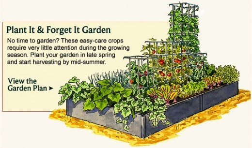 vegetables garden planner