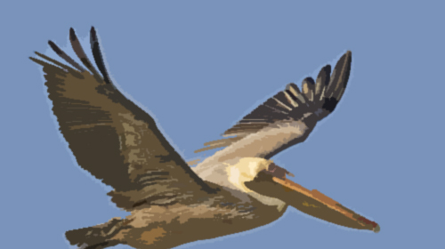bird creature
