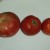 Raw Heirloom Tomatoes Ready to be Prepped