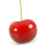 sbsuebedobedo profile image
