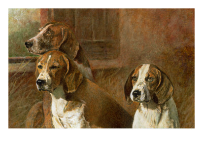 TALK ABOUT LOYALTY, AND UNCONDITIONAL FRIENDSHIP, GIVE ME A HOUND ANY DAY.