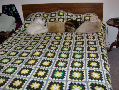 the Afghna which inspired me!