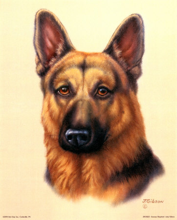 A GERMAN SHEPHERD NAMED "BUDDY," WAS A GREAT PAL OF MINE WHEN I WAS A CHILD.