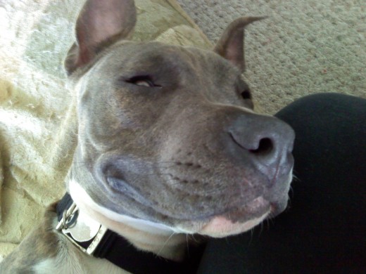 Big smiles and happy chewing!!!