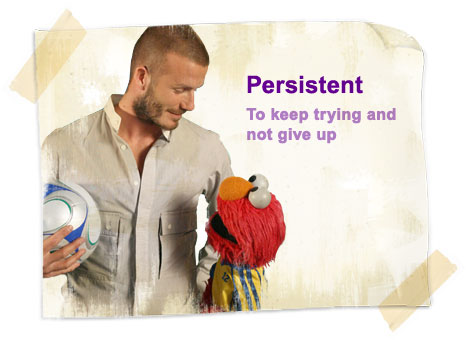 Even Beckham also agrees on being persistent. Be persistent and watch your page rank grow like a money tree.