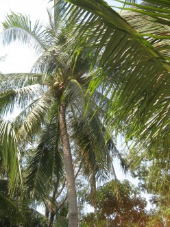 http://s4.hubimg.com/u/5540135_f248.jpg
