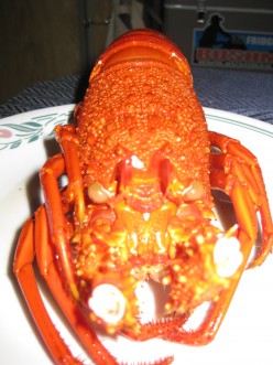 http://s1.hubimg.com/u/5540720_f248.jpg