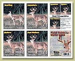 Field Guide for Buck, It's great for display in the blind or the hunting cabin, classroom, wildlife refuge or guide service.