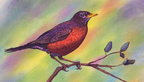 The second bird I did using the Scribble Method. Combines ball point pen on the bird and branch and pastels for the background.