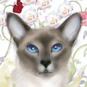 FelineArtist profile image