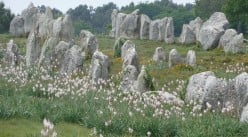 The Carnac Stones and the Morbihan Region of Southern Brittany