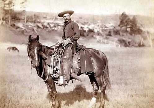 The Cowboy "No Copyright Infringement Intended." 