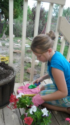 Home-School Does Not Mean NO SCHOOL