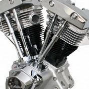 komobo81f profile image