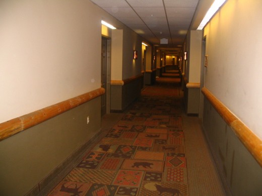 Hallway of our more adult themed floor
