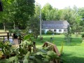 Photos Of Wonderful Wildlife On Our Old Farm.