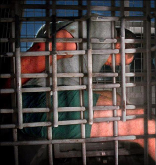 Abbott in the back of a police van, his freedom over Abbott in the back of a police van, his freedom over