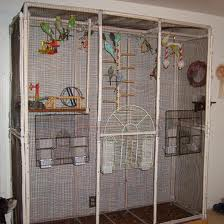 If you have space, this would be the ideal home for one or two pairs of budgies.