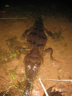 http://s2.hubimg.com/u/5563517_f248.jpg