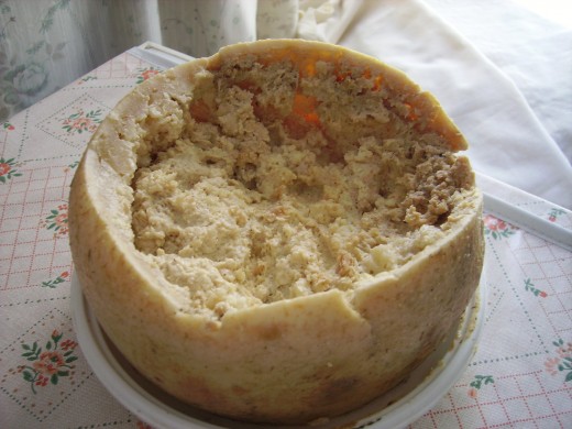 Casa Marzu cheese with live maggots