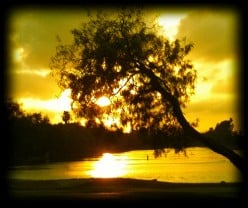 Top 10 High Demand Jobs in America's Cheapest Place to Live: Graceland of Texas