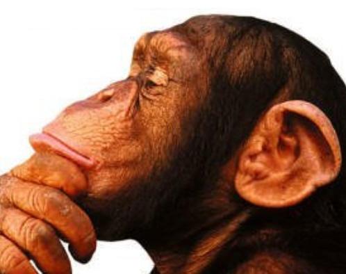 An average person thinks about 15 000 thoughts per day, half of them is negative according to stats. Some studies even suggest that the percentage of negative thoughts is higher and comes to 70% - 80% of all thoughts.