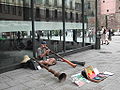 The Didgeridoo...in action...