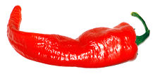 What Do You Know About Cayenne Pepper