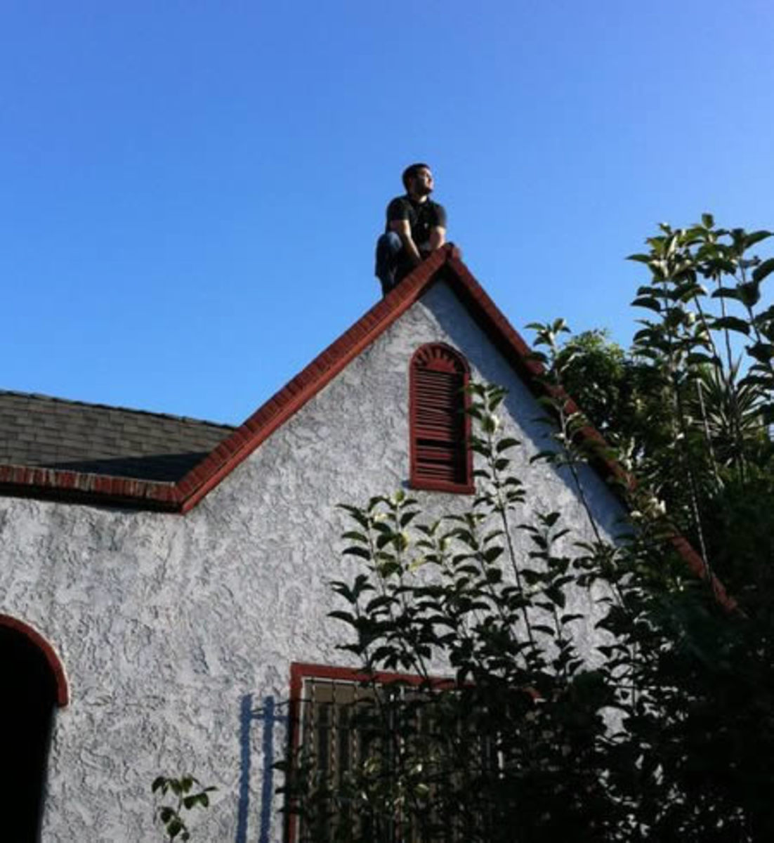 Owling on the roof of a house