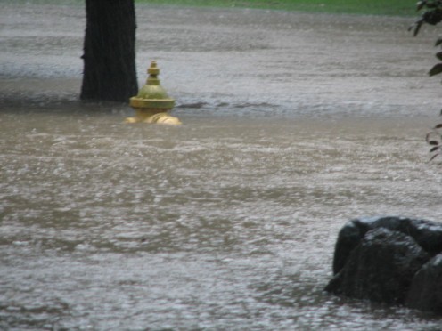 My water gauge was the fire hydrant just across the street, photo shot from my front porch.