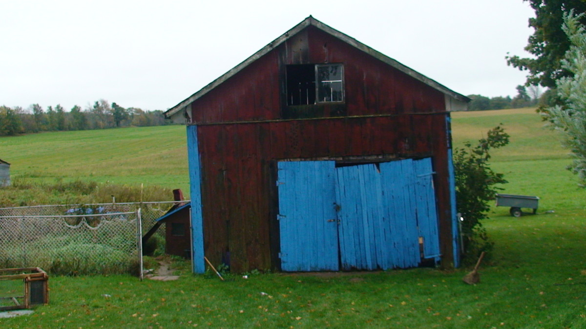 Old barn with dog kennel attached