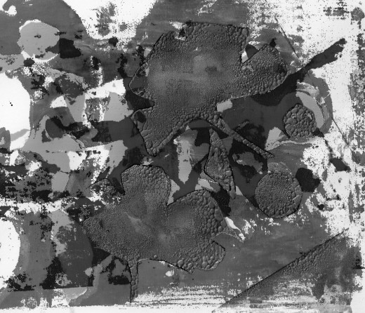 A silkscreen print of abstracted ginkgos converted to black and white.