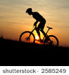 http://s4.hubimg.com/u/5594279.jpg