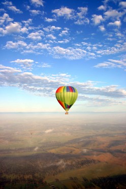 http://s2.hubimg.com/u/5594497_f248.jpg