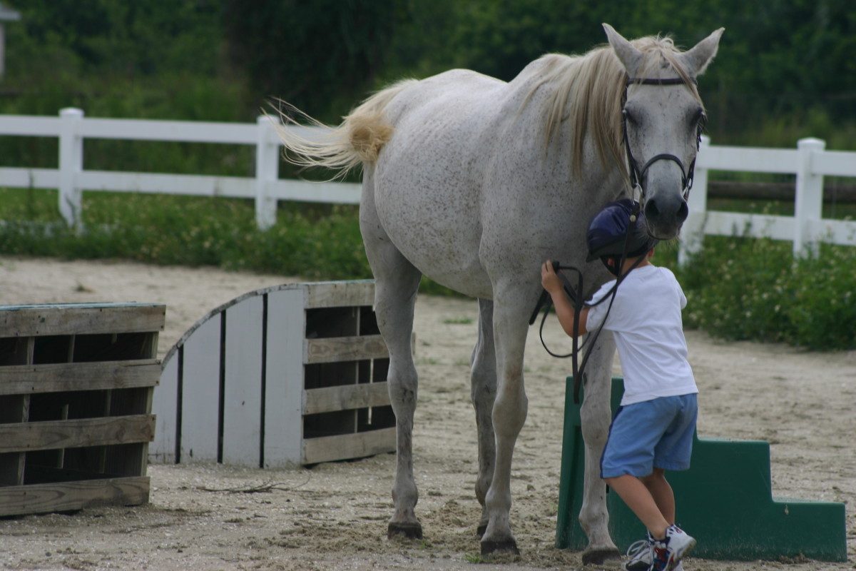 Kids and horses - a great combination!