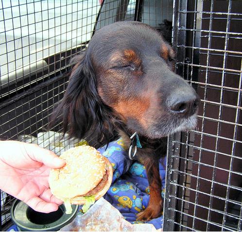 Do you turn your nose up at leftovers?