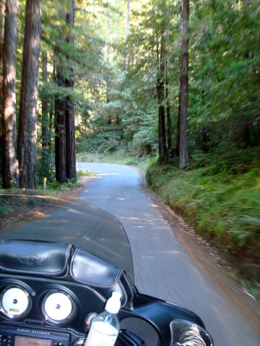 Narrow, scenic roads provide the best riding.